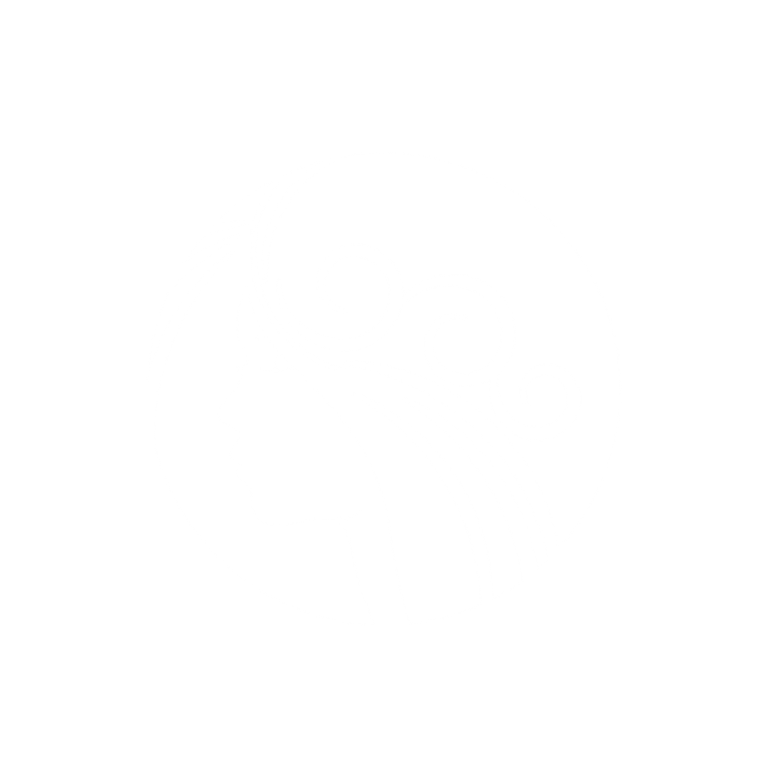 BYUH Women’s Organization